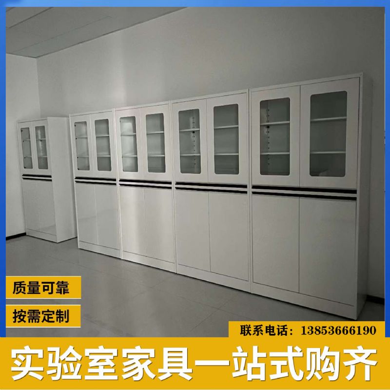山東實(shí)驗(yàn)臺試劑柜器皿柜 實(shí)驗(yàn)室儀器柜 防腐耐用